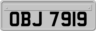 OBJ7919