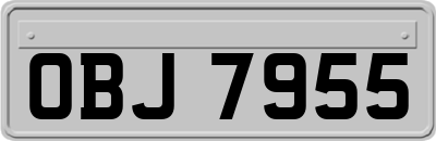 OBJ7955