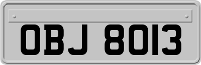 OBJ8013