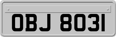 OBJ8031