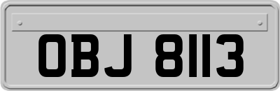 OBJ8113