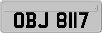 OBJ8117