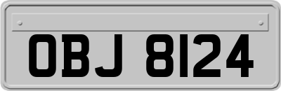 OBJ8124