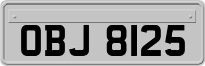 OBJ8125