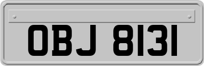 OBJ8131