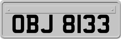 OBJ8133