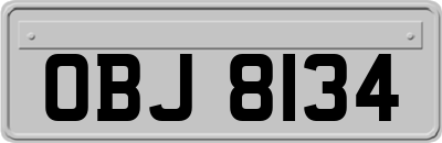 OBJ8134