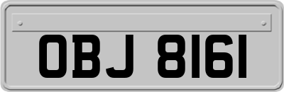 OBJ8161