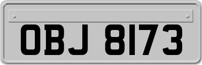 OBJ8173
