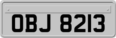OBJ8213
