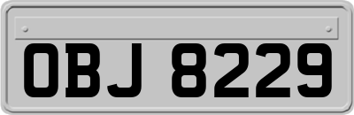 OBJ8229