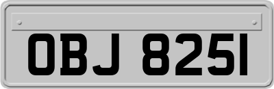 OBJ8251
