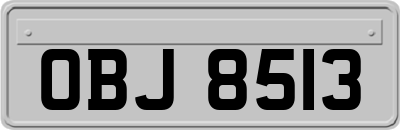 OBJ8513