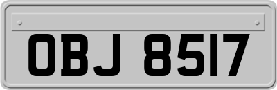OBJ8517
