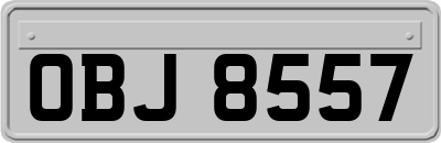 OBJ8557