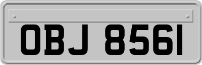 OBJ8561