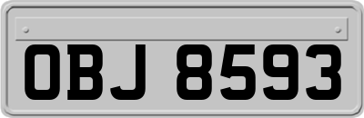 OBJ8593