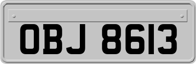 OBJ8613