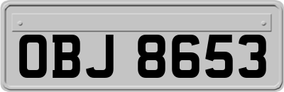 OBJ8653