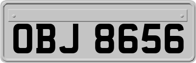 OBJ8656