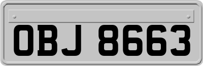 OBJ8663