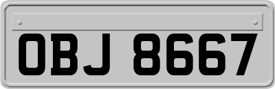 OBJ8667