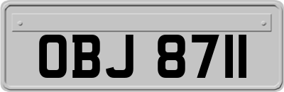OBJ8711