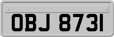 OBJ8731