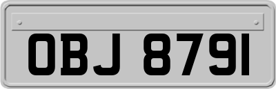 OBJ8791