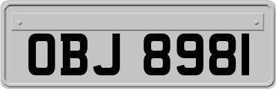 OBJ8981