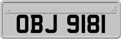 OBJ9181