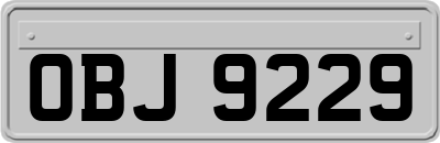 OBJ9229