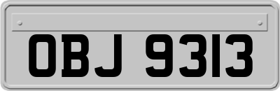 OBJ9313