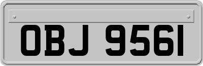 OBJ9561