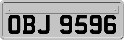 OBJ9596