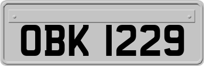 OBK1229