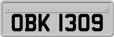 OBK1309