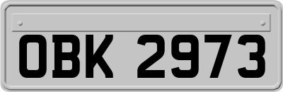 OBK2973
