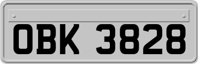 OBK3828