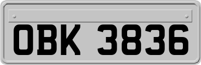 OBK3836