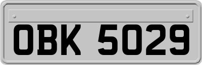 OBK5029