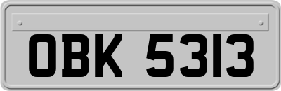 OBK5313