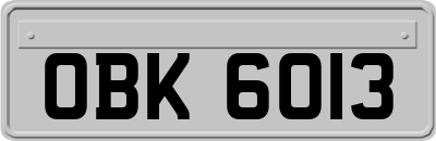 OBK6013