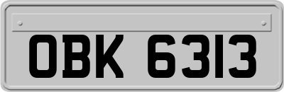 OBK6313
