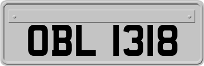 OBL1318