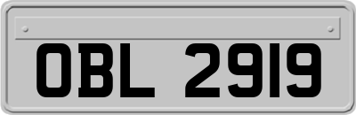 OBL2919