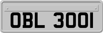 OBL3001