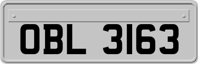 OBL3163
