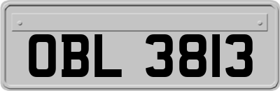OBL3813