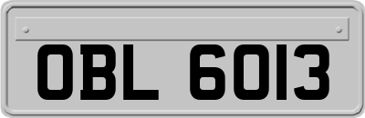 OBL6013